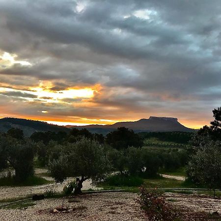 Casa Rural Cortijo La Ajedrea Силес Экстерьер фото