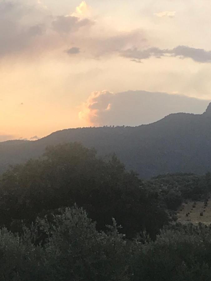 Casa Rural Cortijo La Ajedrea Силес Экстерьер фото